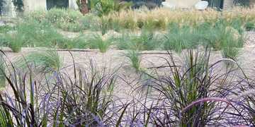 21Terrace courtyard.jpg